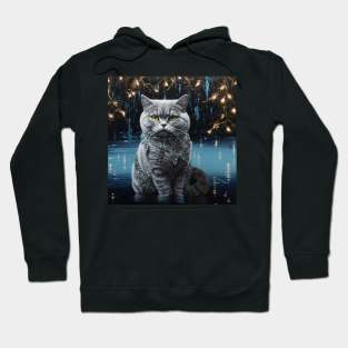 Luminoius British Shorthair Hoodie